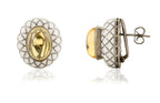 French Enamel Citrine Earrings